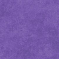 MAS513-V60S Violet Tulip